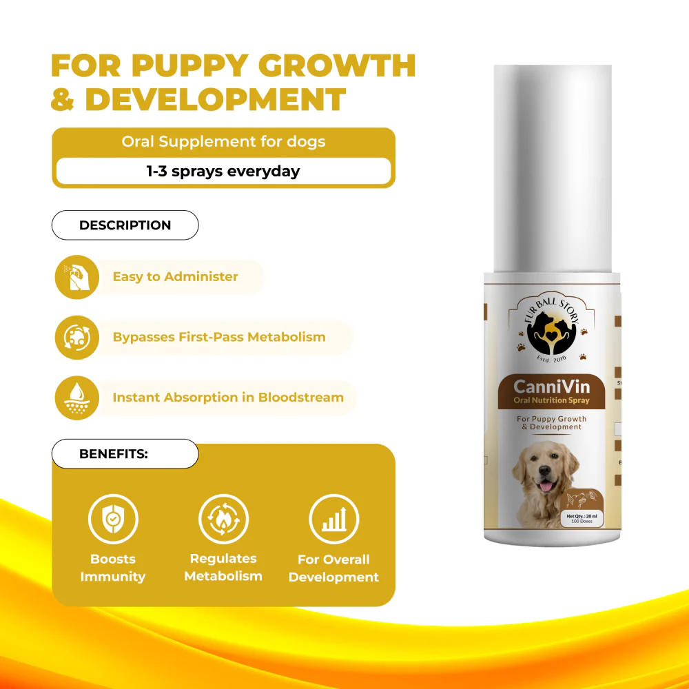 FurBall Story Cannivin Healthy Bones & Teeth Oral Nutritional Spray for Dogs - Image 5