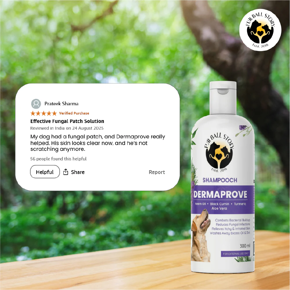 FurBall Story Shampooch Dermaprove Shampoo for Dogs - Image 11