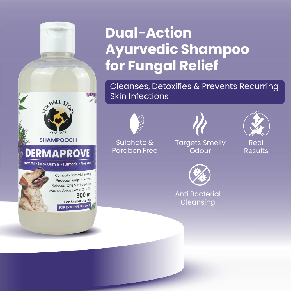 FurBall Story Shampooch Dermaprove Shampoo for Dogs - Image 3