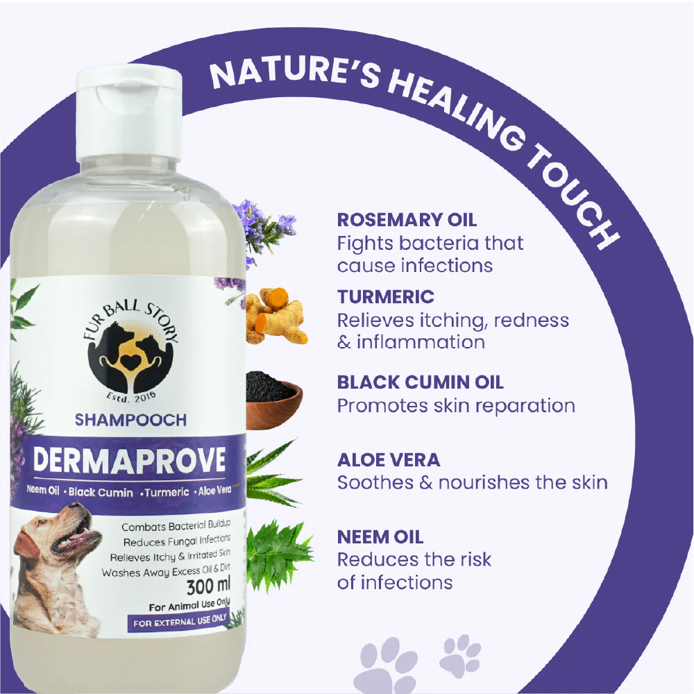 FurBall Story Shampooch Dermaprove Shampoo for Dogs - Image 4