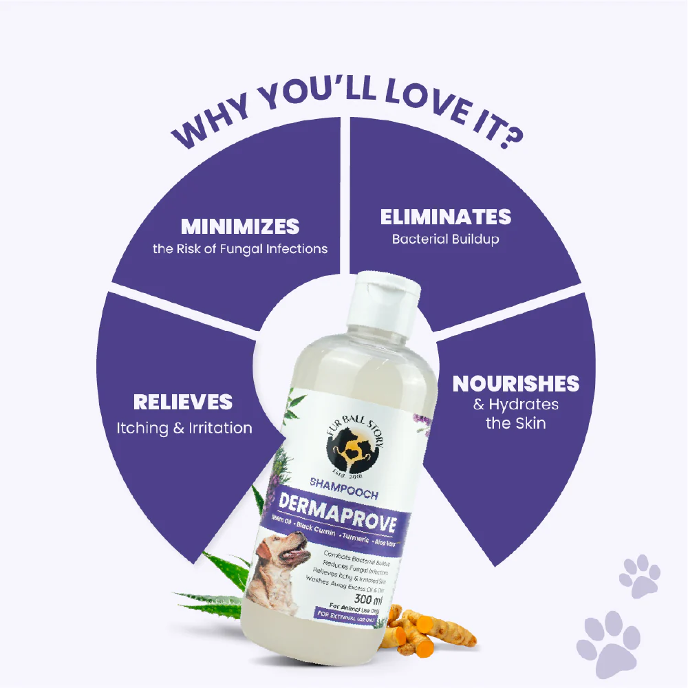 FurBall Story Shampooch Dermaprove Shampoo for Dogs - Image 5