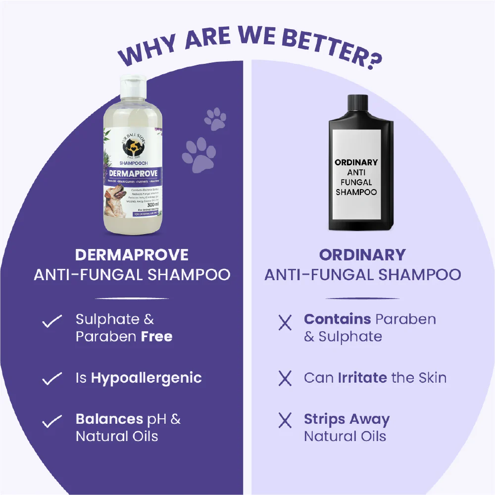 FurBall Story Shampooch Dermaprove Shampoo for Dogs - Image 6