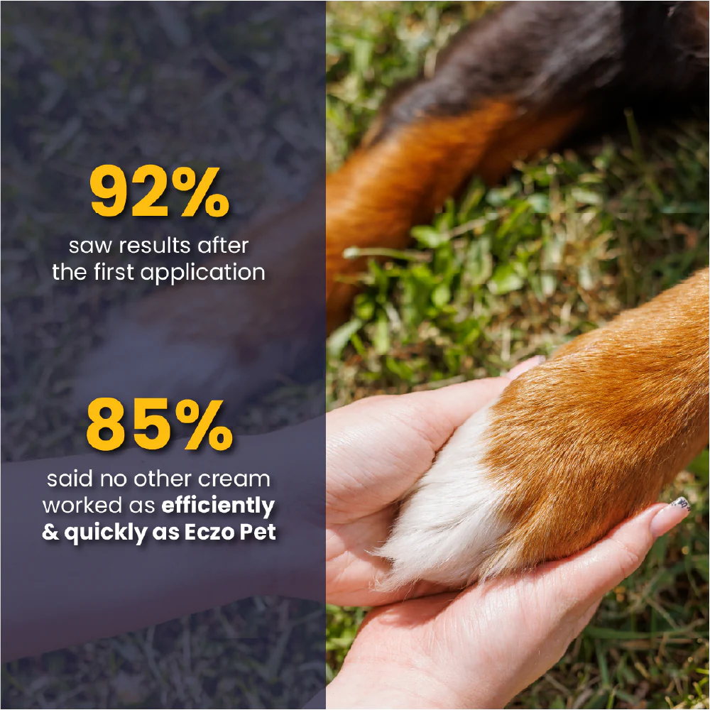 FurBall Story Eczo Pet Cream for Dogs and Cats - Image 11
