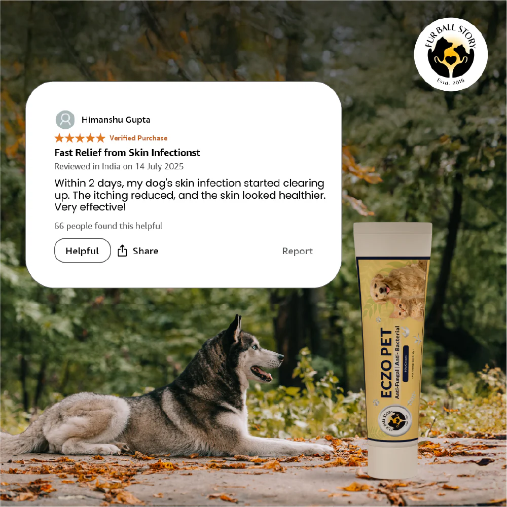 FurBall Story Eczo Pet Cream for Dogs and Cats - Image 12