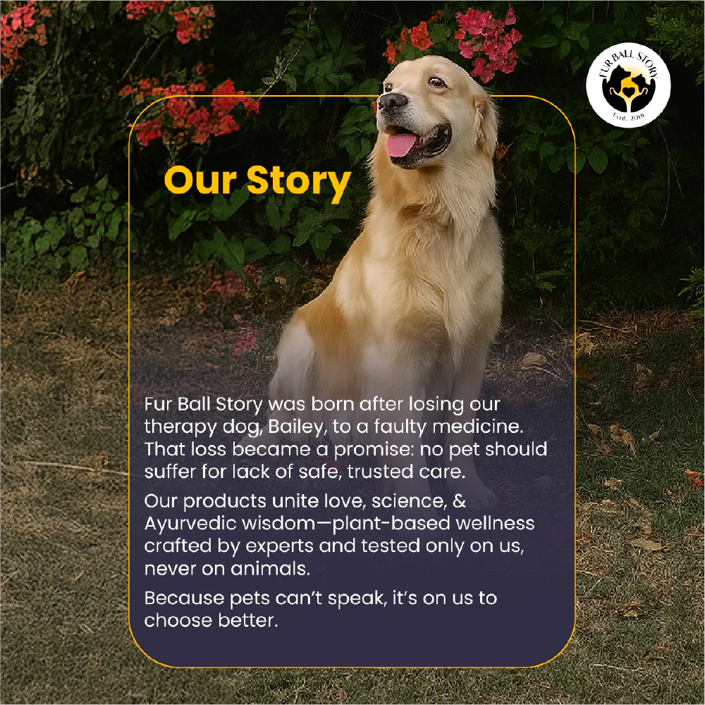 FurBall Story Eczo Pet Cream for Dogs and Cats - Image 14