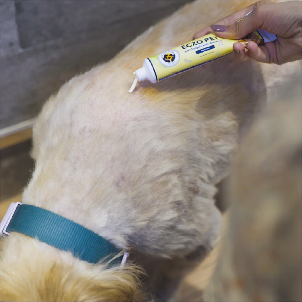 FurBall Story Eczo Pet Cream for Dogs and Cats - Image 9