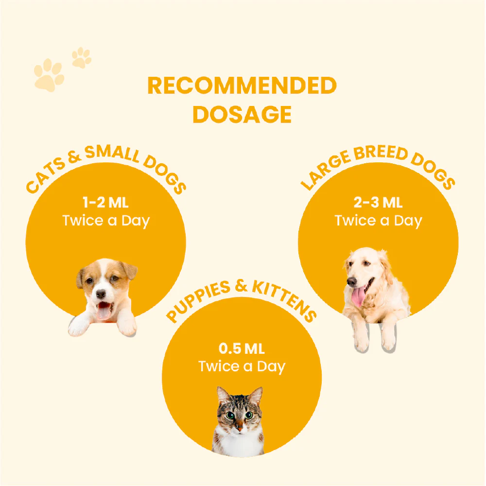 FurBall Story Fever, Cough & Cold Relief Syrup for Dogs and Cats - Image 6