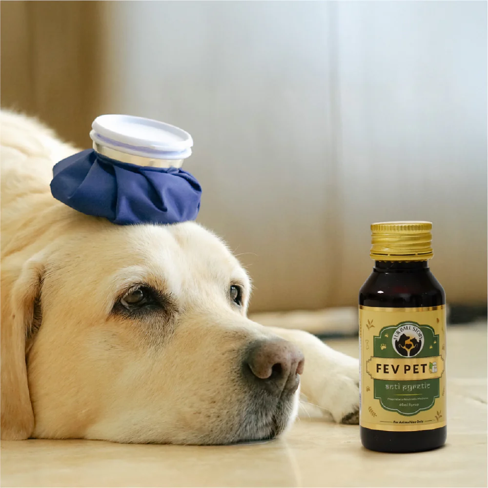 FurBall Story Fever, Cough & Cold Relief Syrup for Dogs and Cats - Image 7