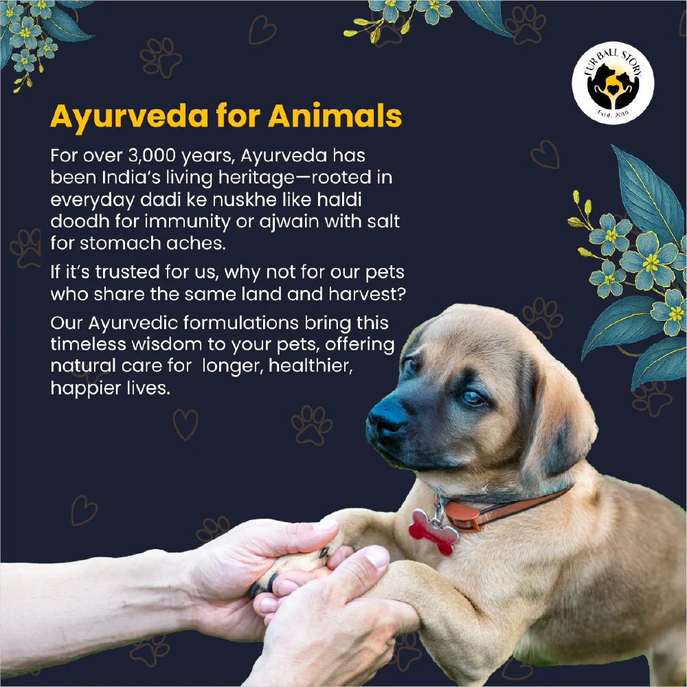 FurBall Story Heal Pet Cream for Dogs and Cats - Image 14