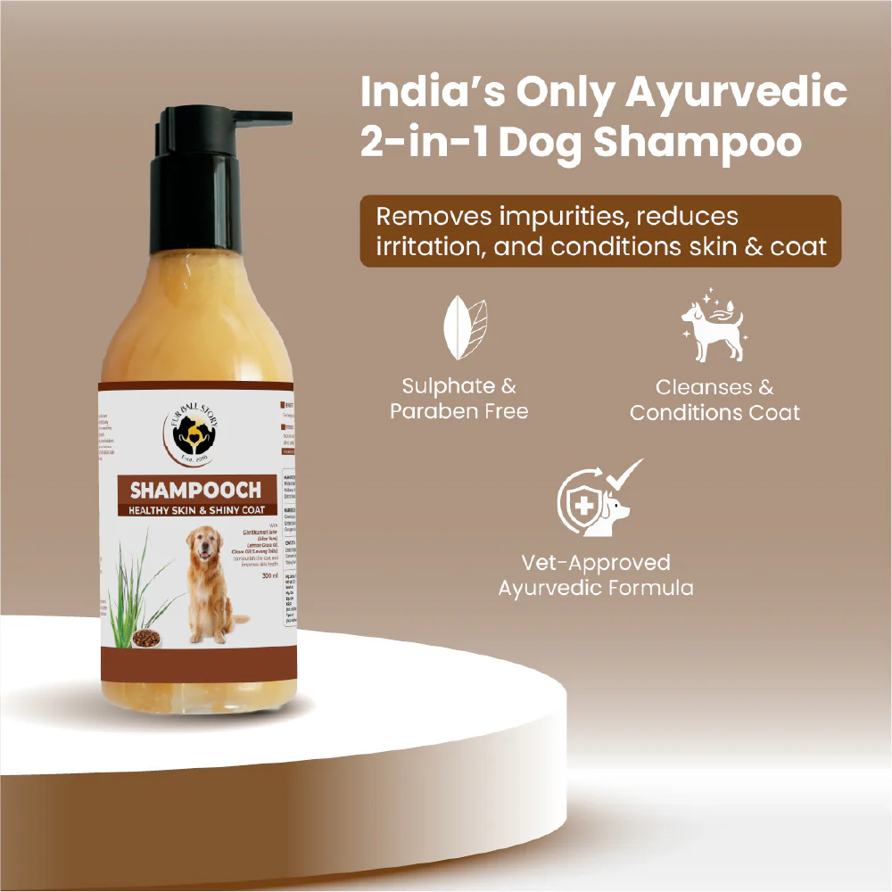 FurBall Story Shampooch Healthy Skin & Shiny Coat Shampoo for Dogs - Image 3