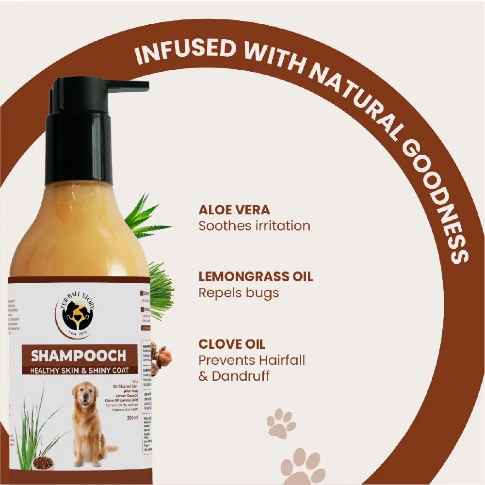 FurBall Story Shampooch Healthy Skin & Shiny Coat Shampoo for Dogs - Image 4