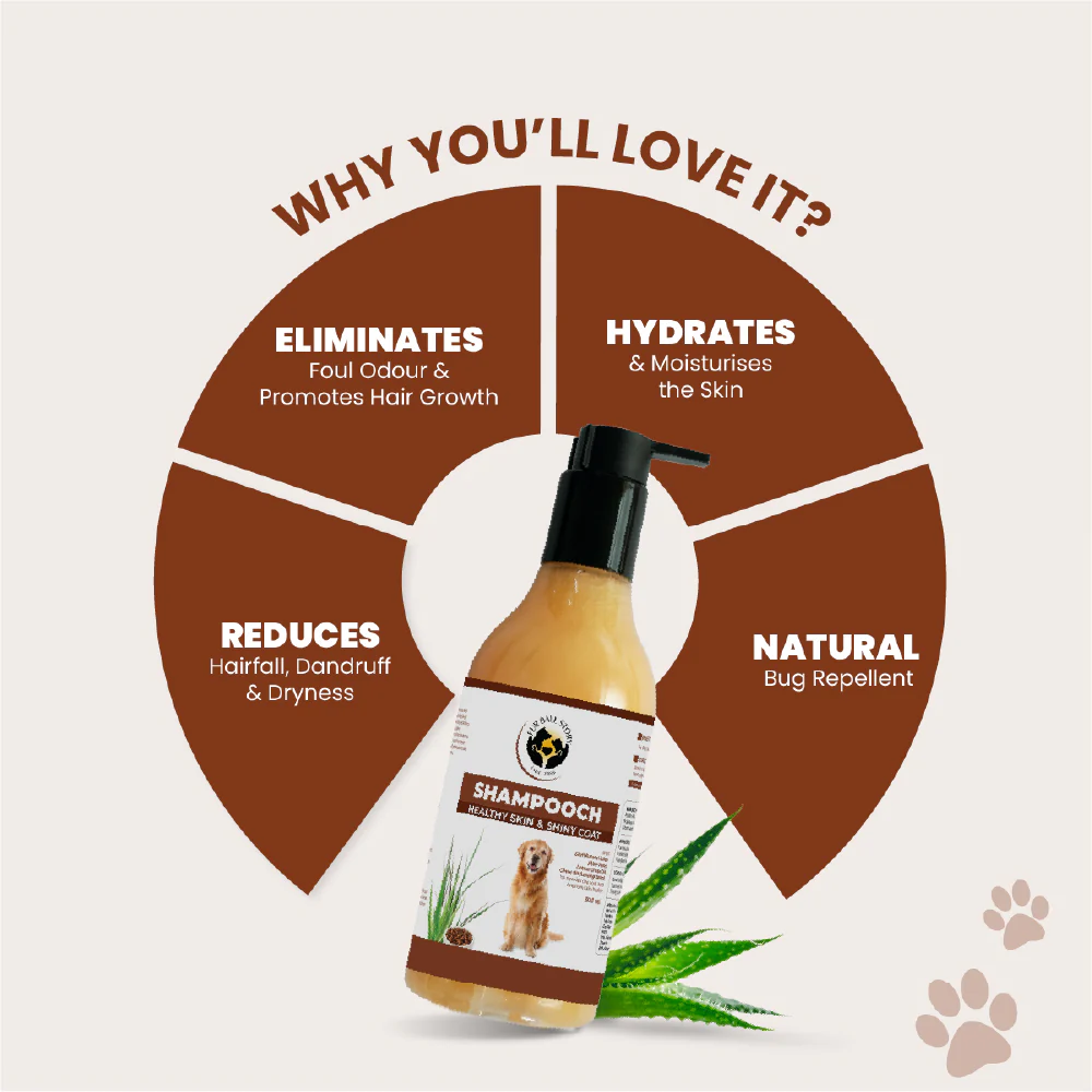 FurBall Story Shampooch Healthy Skin & Shiny Coat Shampoo for Dogs - Image 5