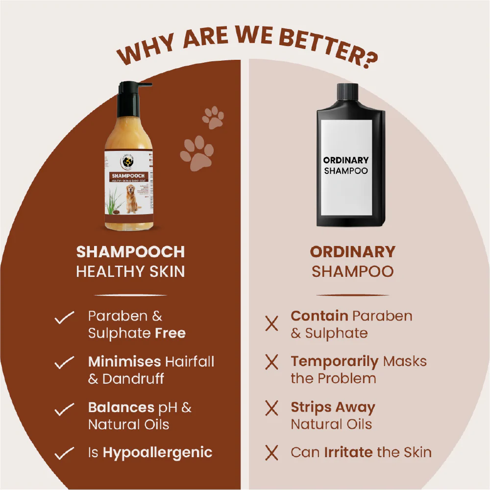 FurBall Story Shampooch Healthy Skin & Shiny Coat Shampoo for Dogs - Image 6