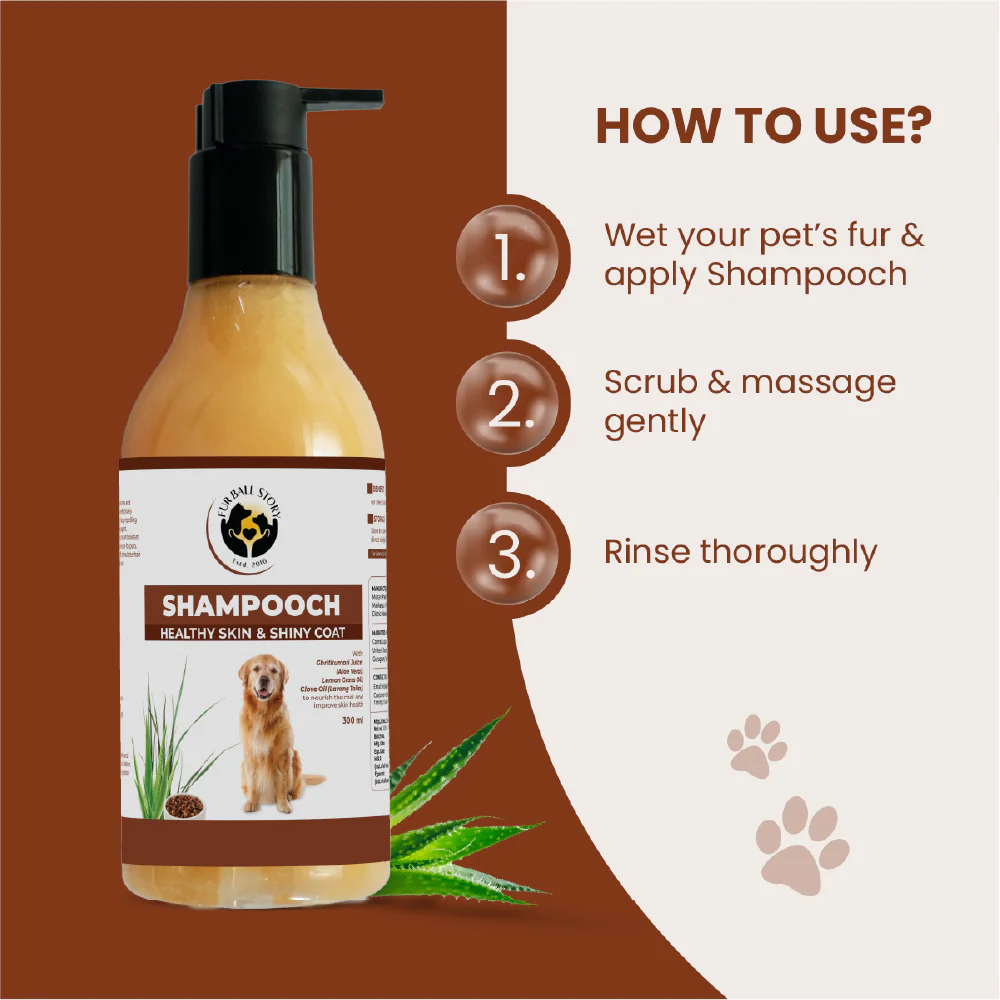FurBall Story Shampooch Healthy Skin & Shiny Coat Shampoo for Dogs - Image 7