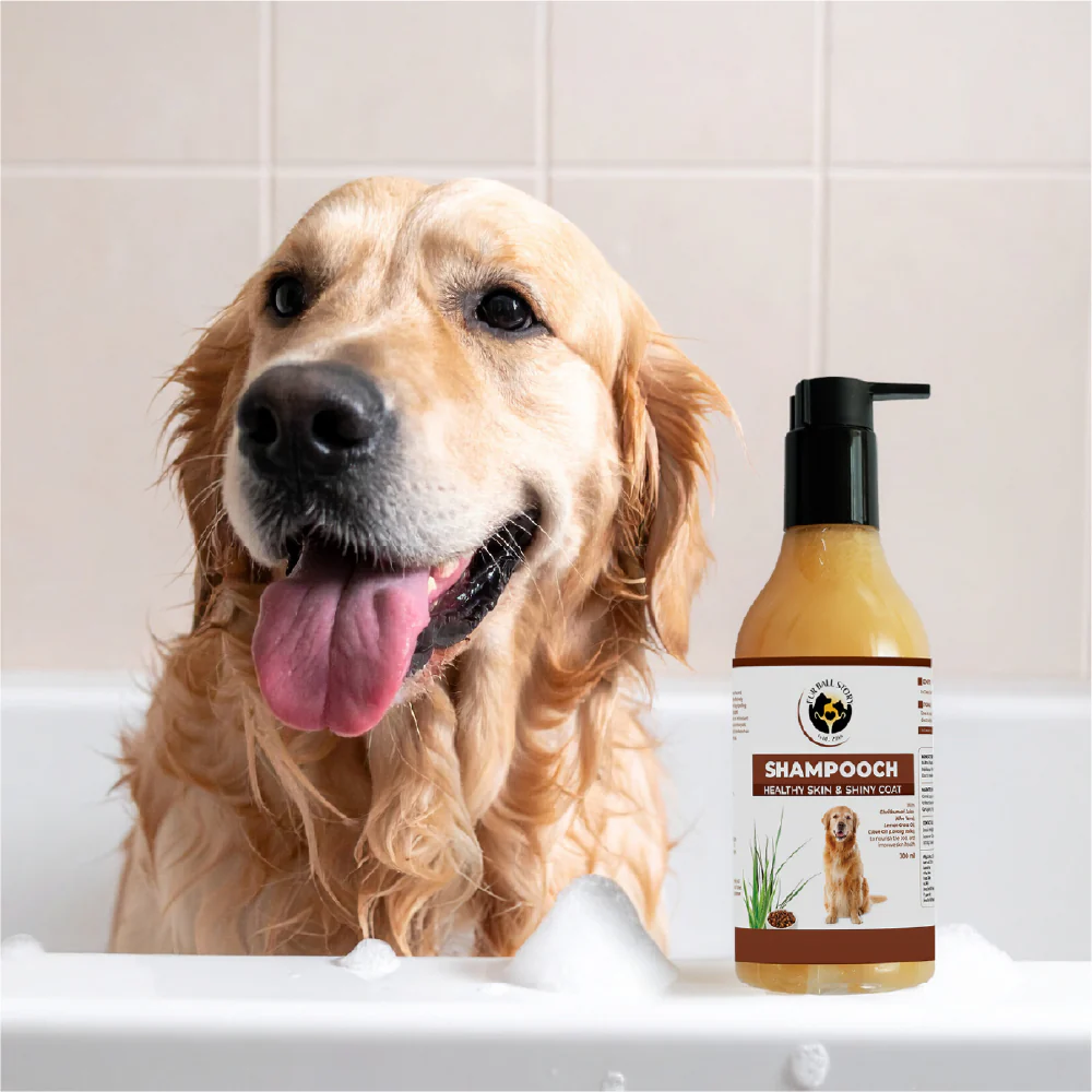 FurBall Story Shampooch Healthy Skin & Shiny Coat Shampoo for Dogs - Image 8