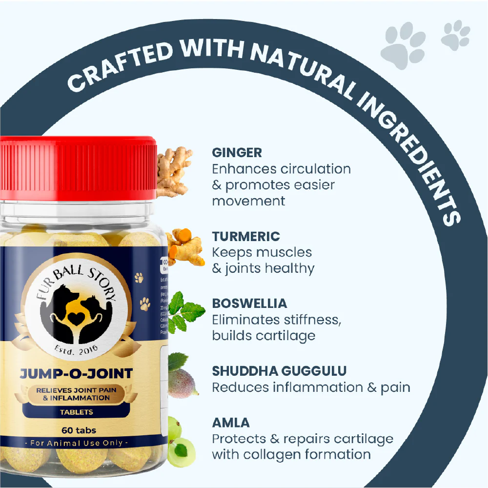 FurBall Story Jump O Joint Care tablets for Dogs and Cats - Image 5