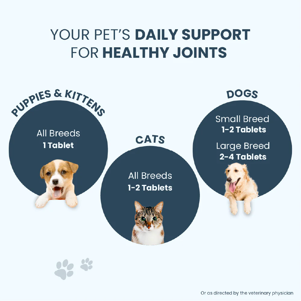 FurBall Story Jump O Joint Care tablets for Dogs and Cats - Image 7