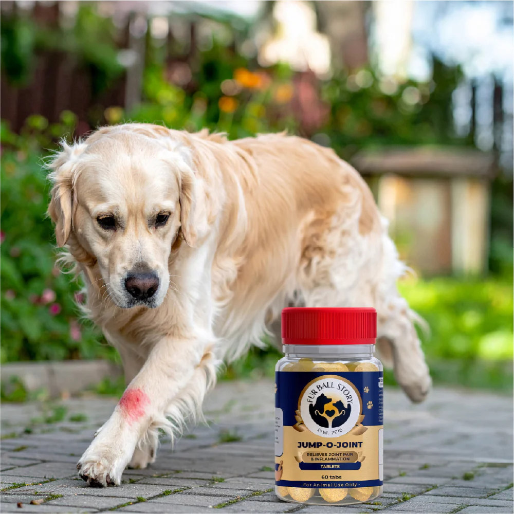FurBall Story Jump O Joint Care tablets for Dogs and Cats - Image 8