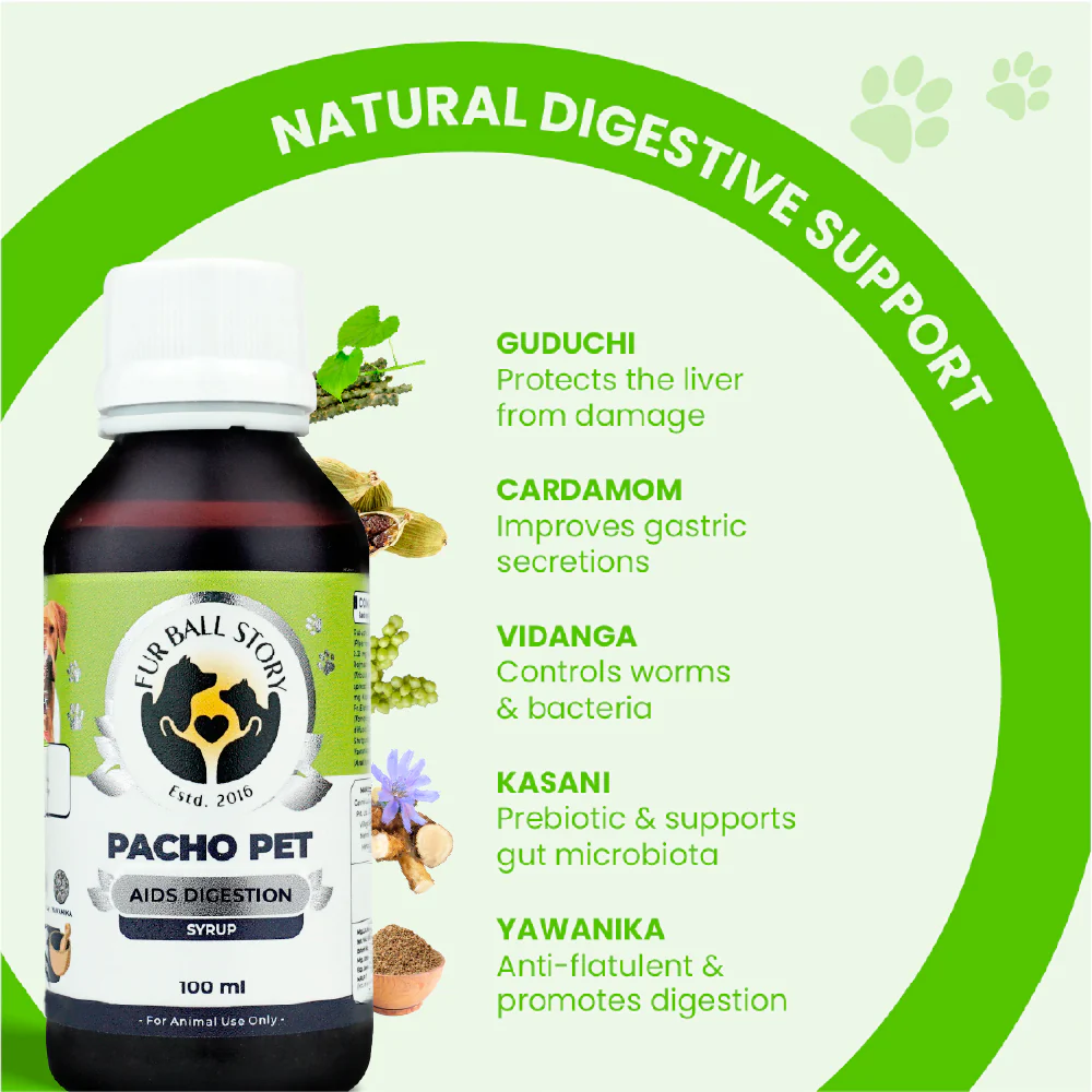 FurBall Story Pacho Relieves Stomach Issues Syrup for Dogs & Cats - Image 4
