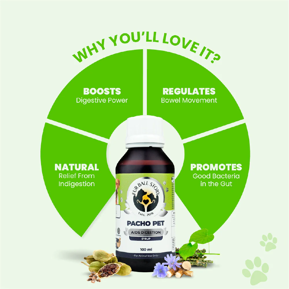 FurBall Story Pacho Relieves Stomach Issues Syrup for Dogs & Cats - Image 5