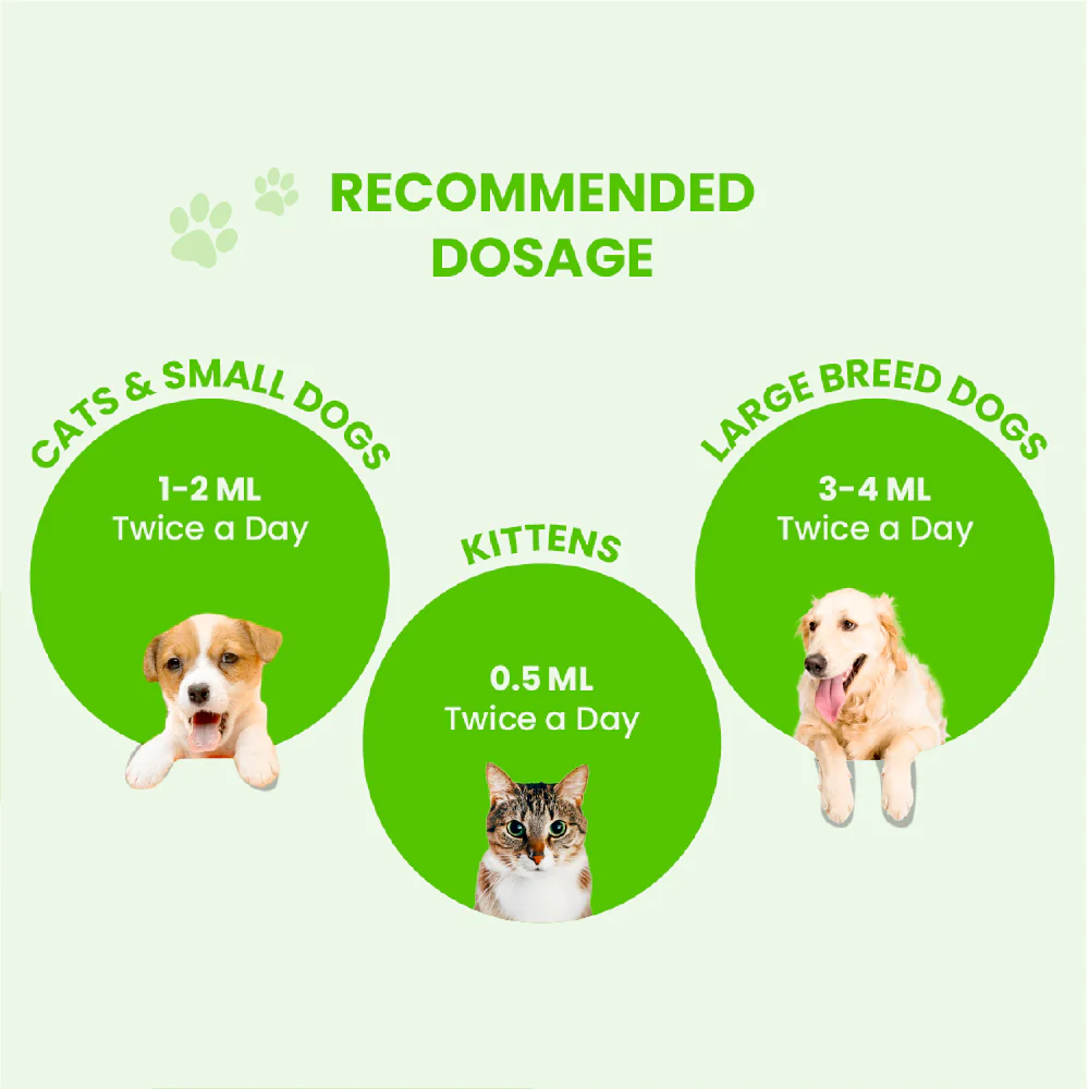 FurBall Story Pacho Relieves Stomach Issues Syrup for Dogs & Cats - Image 7