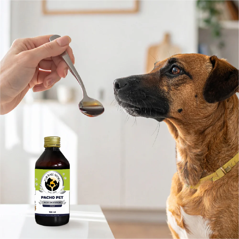 FurBall Story Pacho Relieves Stomach Issues Syrup for Dogs & Cats - Image 8