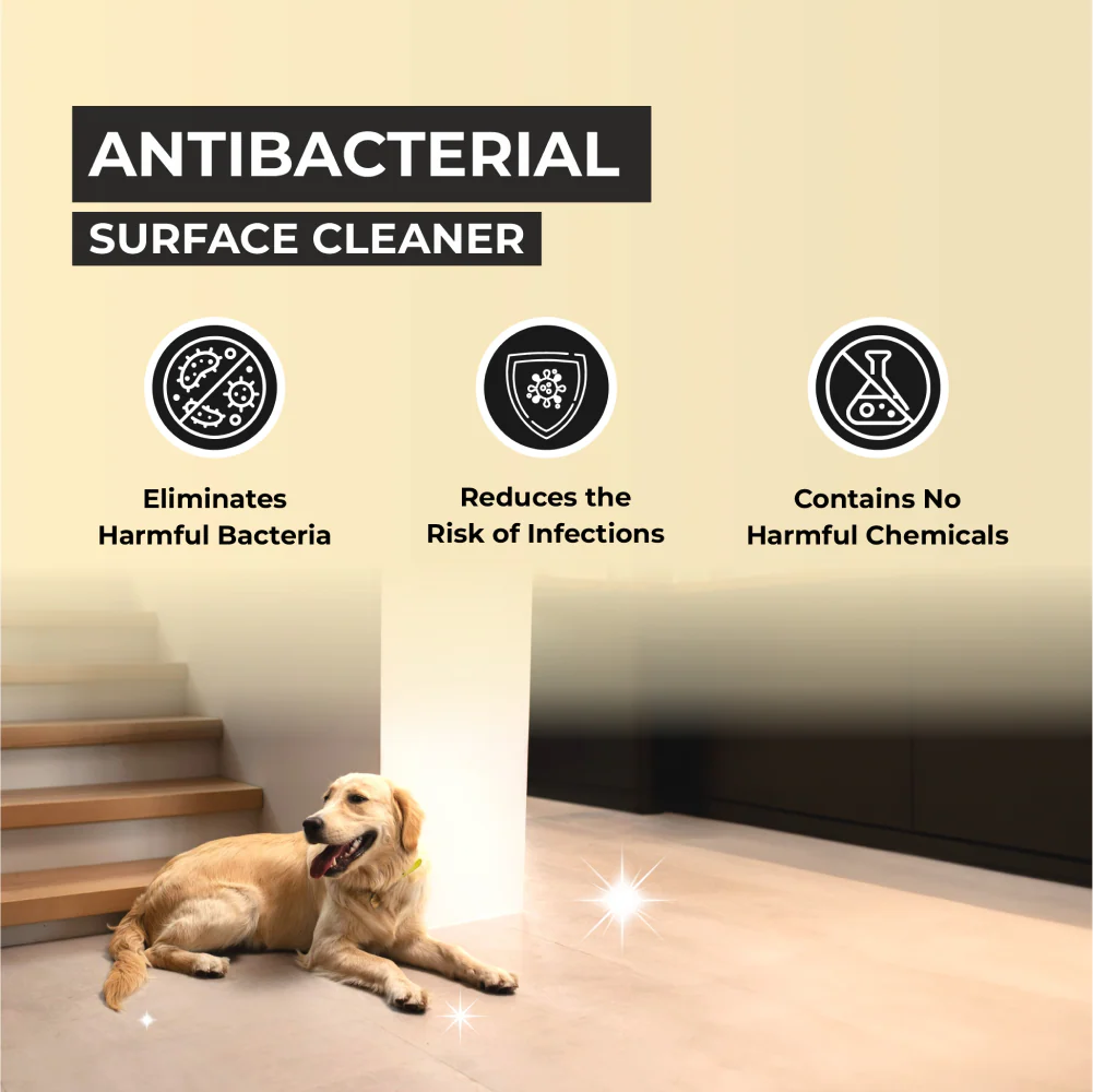 FurBall Story Petly Anti Microbial and Anti Bacterial Surface Cleaner - Image 2