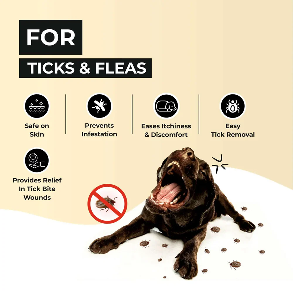 FurBall Story Preven Tick and Flea Spray for Dogs - Image 5