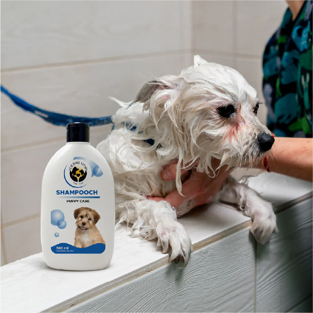 FurBall Story Shampooch Puppy Care Shampoo for Puppies - Image 8