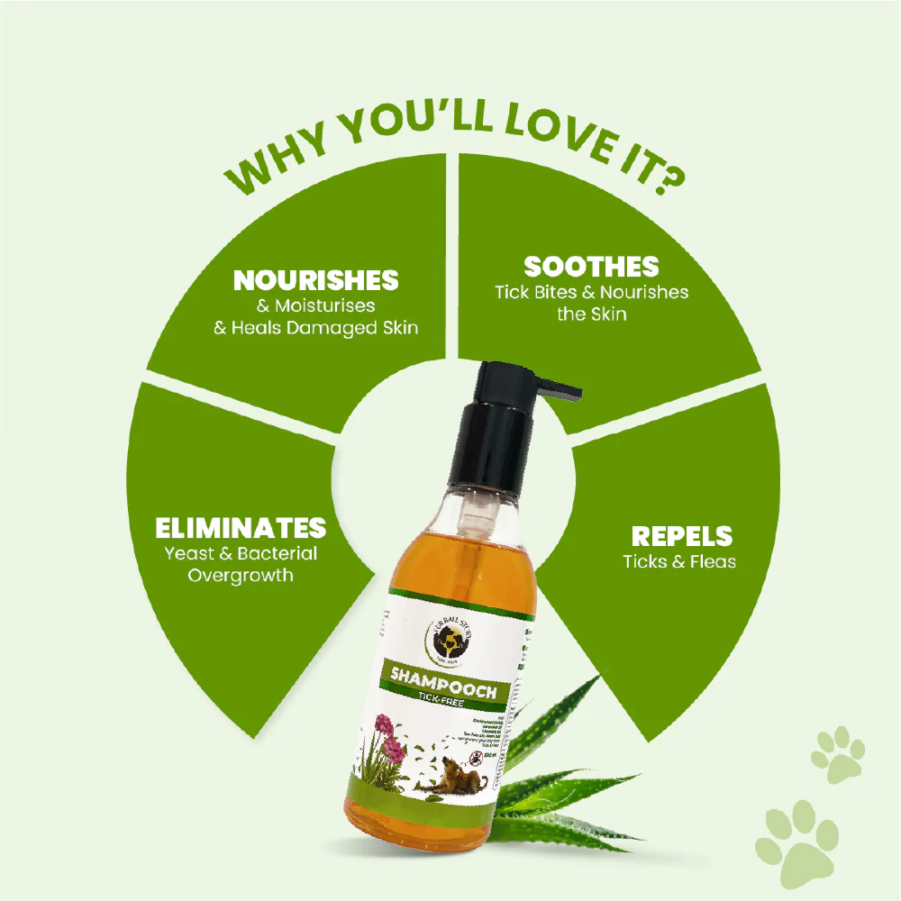 FurBall Story Shampooch Tick Free Shampoo for Dogs - Image 5