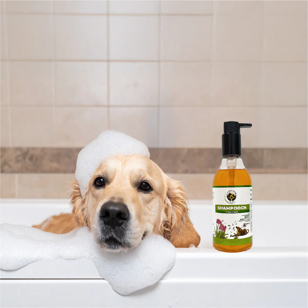 FurBall Story Shampooch Tick Free Shampoo for Dogs - Image 8