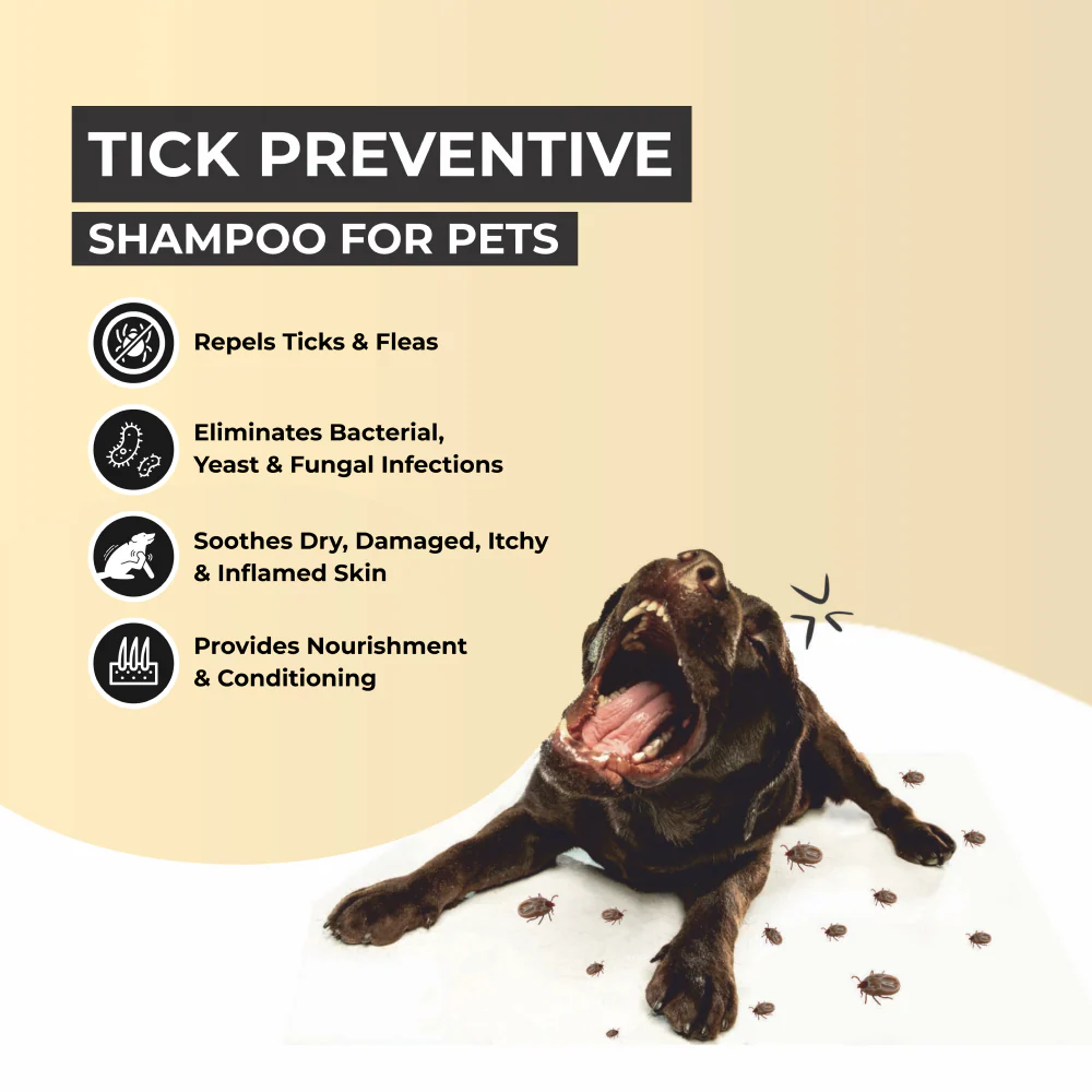 FurBall Story Shampooch Tick Repellent Shampoo for Dogs - Image 5