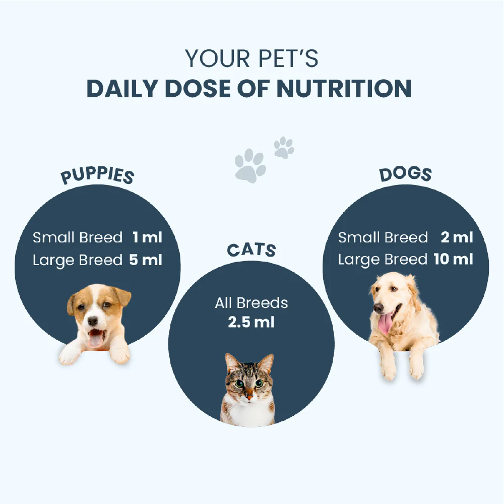 FurBall Story Supertonic Overall Wellness Syrup for Dogs and Cats - Image 10