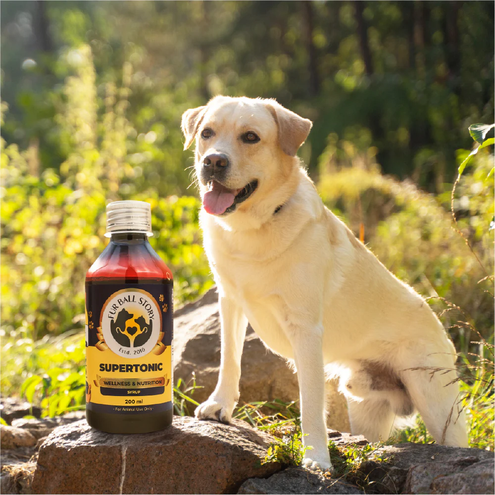 FurBall Story Supertonic Overall Wellness Syrup for Dogs and Cats - Image 11