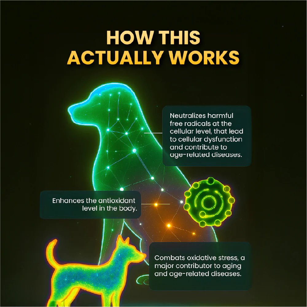 FurBall Story Supertonic Overall Wellness Syrup for Dogs and Cats - Image 7