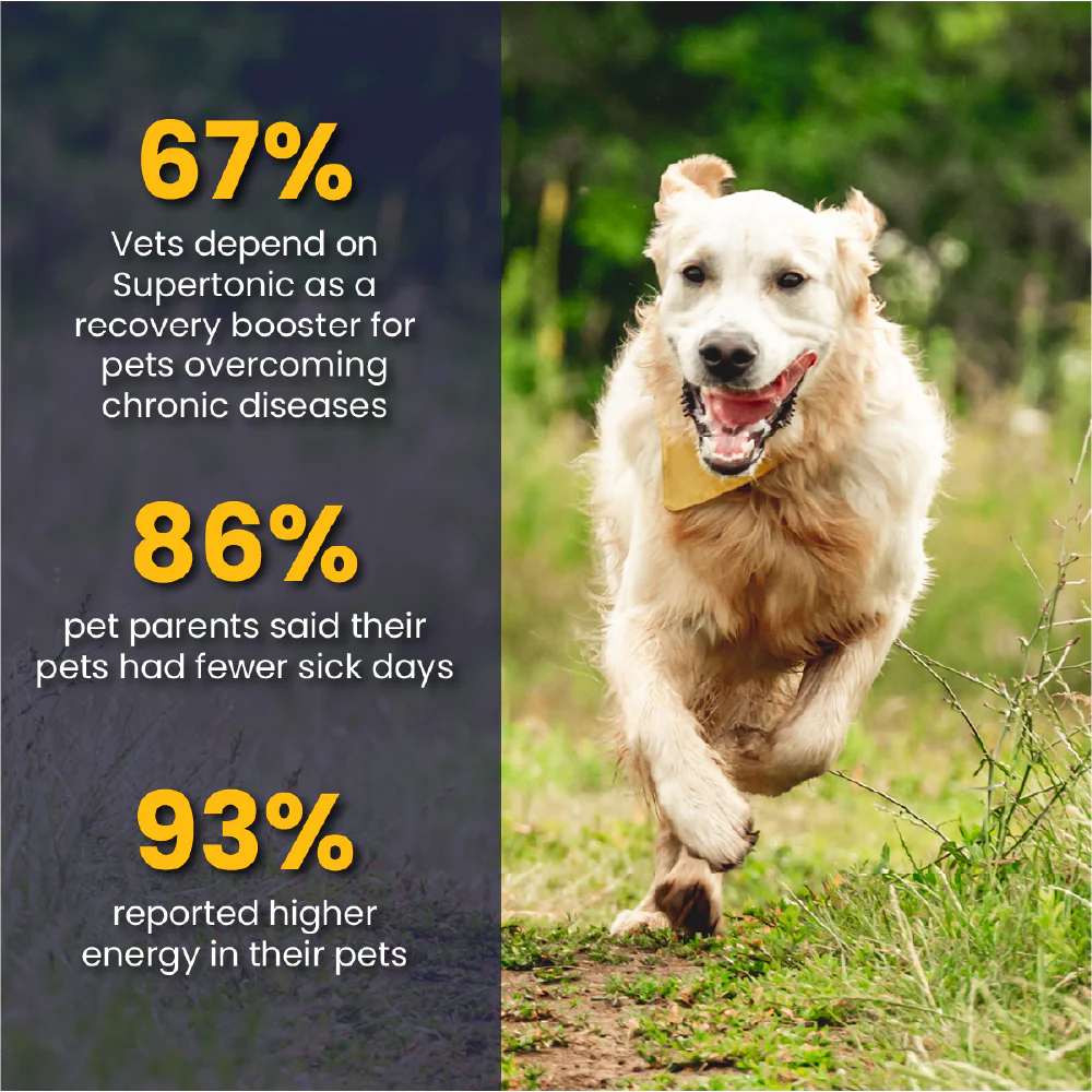 FurBall Story Supertonic Overall Wellness Syrup for Dogs and Cats - Image 9