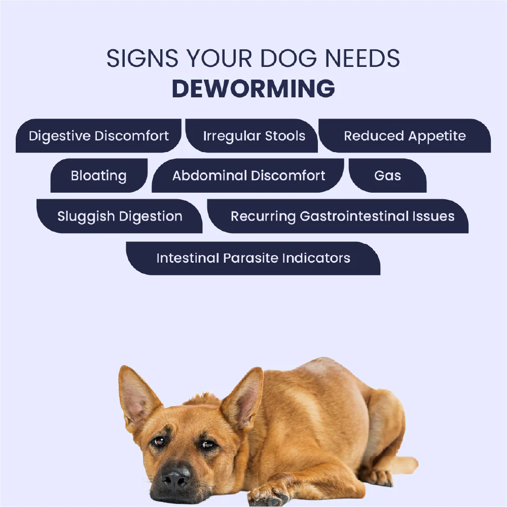 FurBall Story Worm No More Deworming Tablet for Dogs and Cats - Image 13