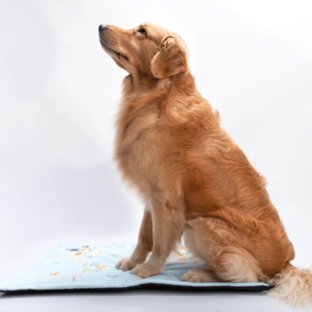 FurBuddies Fur Map Mat for Dogs and Cats - Image 7
