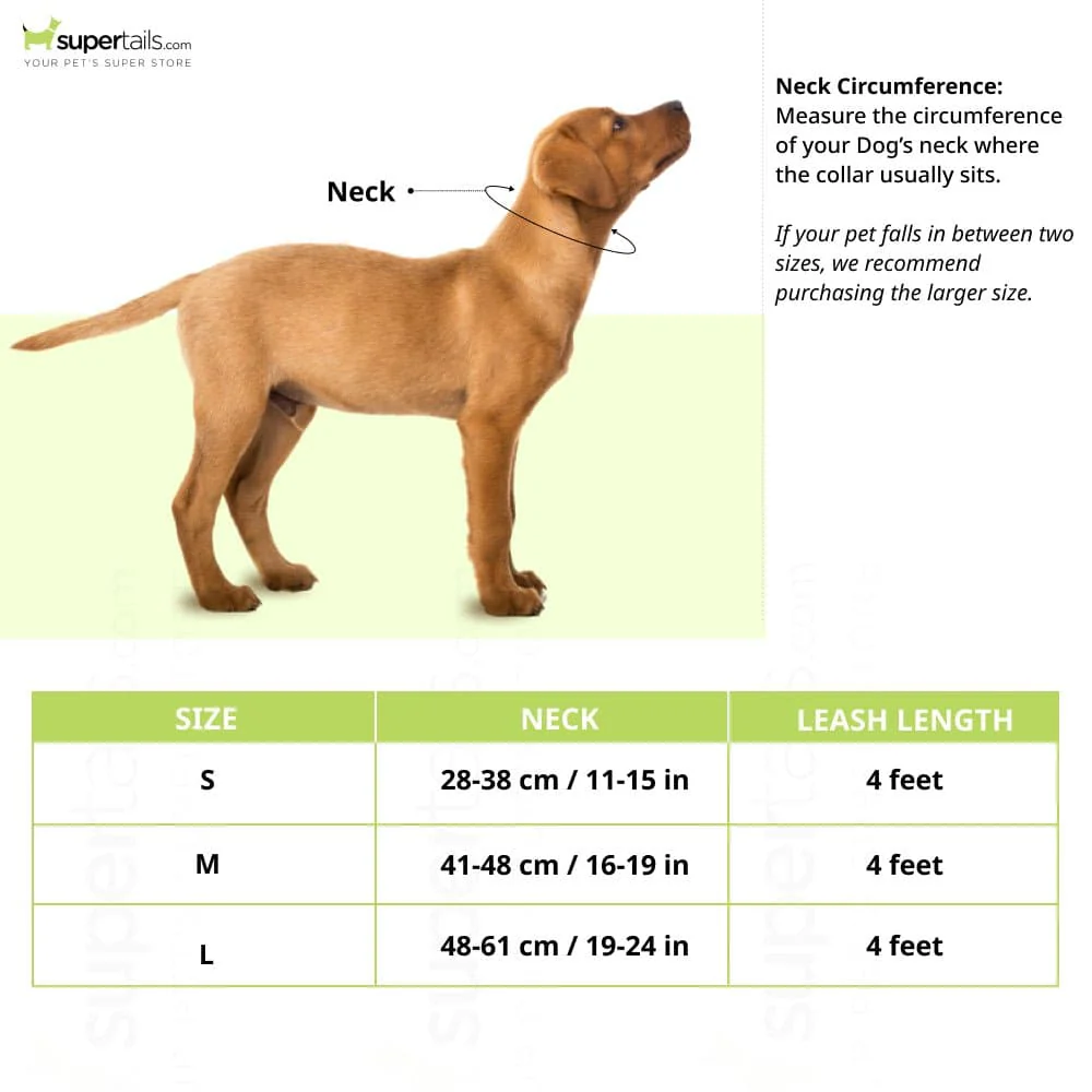 FurBuddies Myrtle Nylon Collar for Dogs (Green) - Image 2