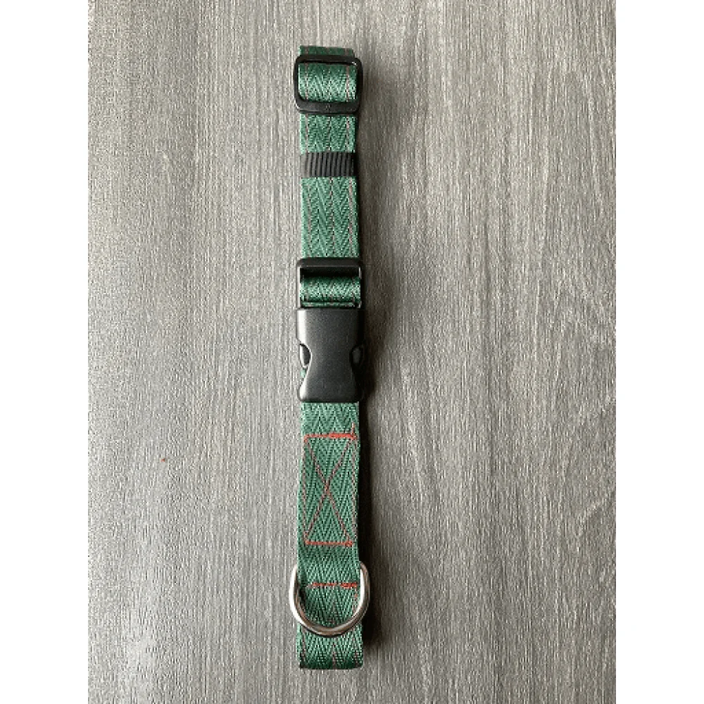 FurBuddies Myrtle Nylon Collar for Dogs (Green) - Image 4