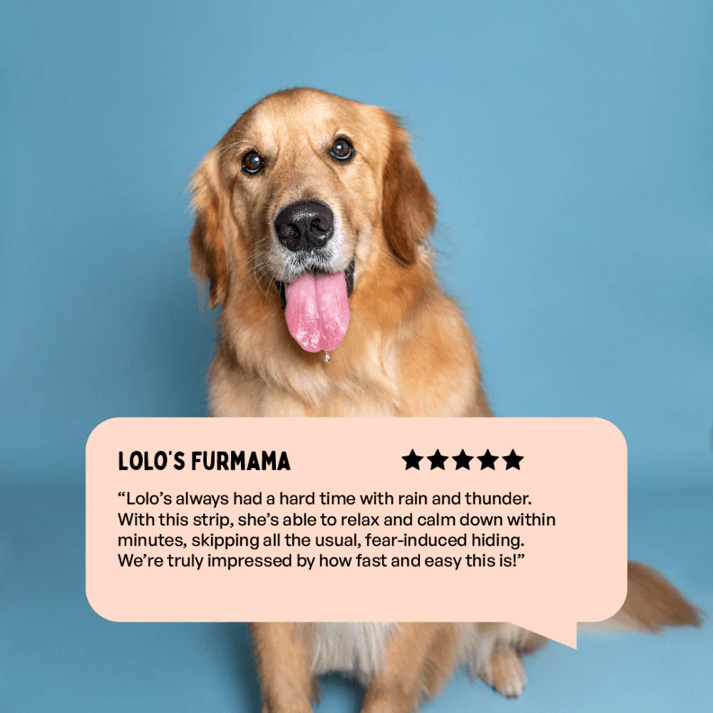 Furlicks Calming Aid for Cats and Dogs - Image 7