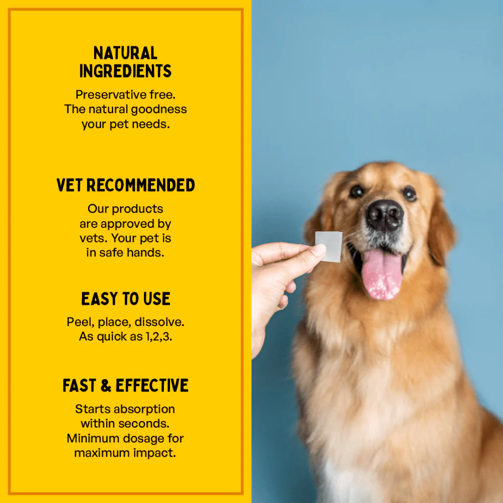 Furlicks Calming Aid for Cats and Dogs - Image 3