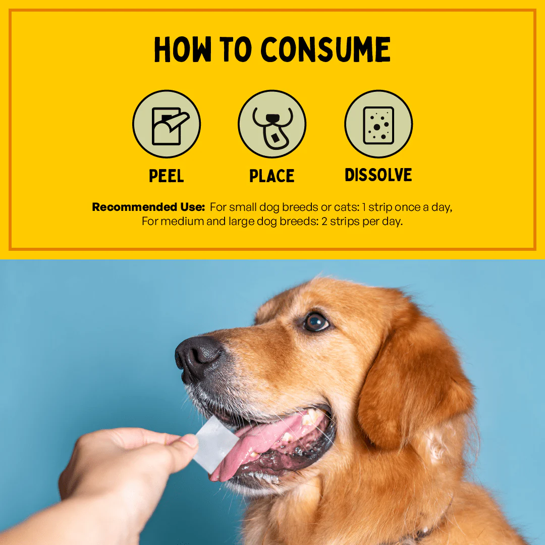 Furlicks Gut Health Supplement for Cats and Dogs - Image 2