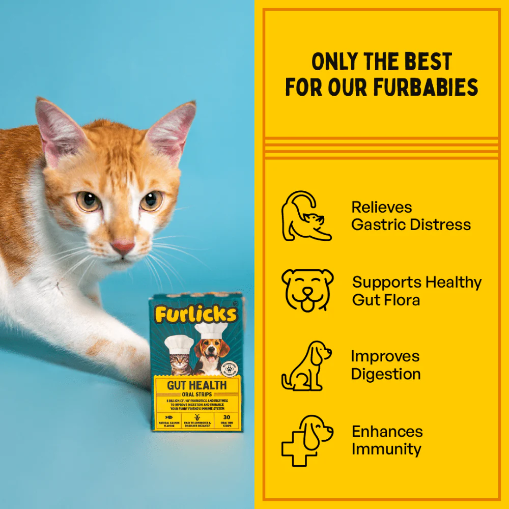 Furlicks Gut Health Supplement for Cats and Dogs - Image 3