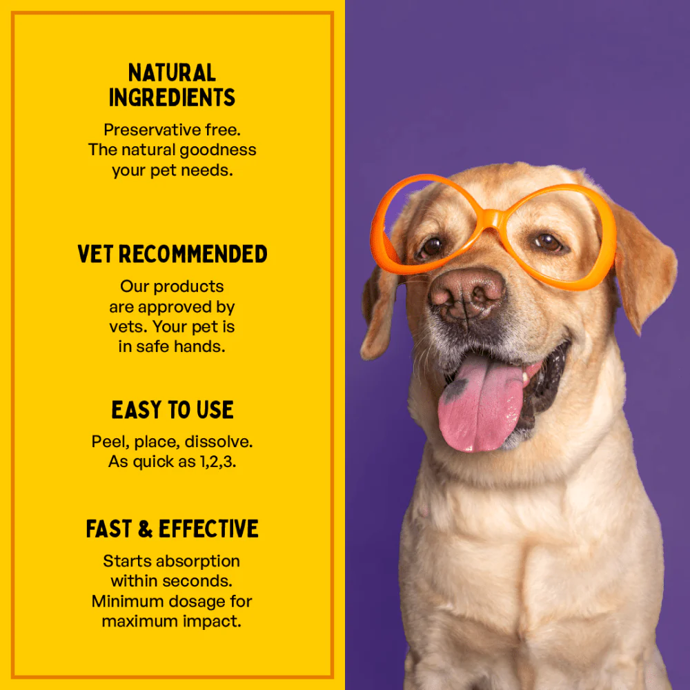 Furlicks Gut Health Supplement for Cats and Dogs - Image 4