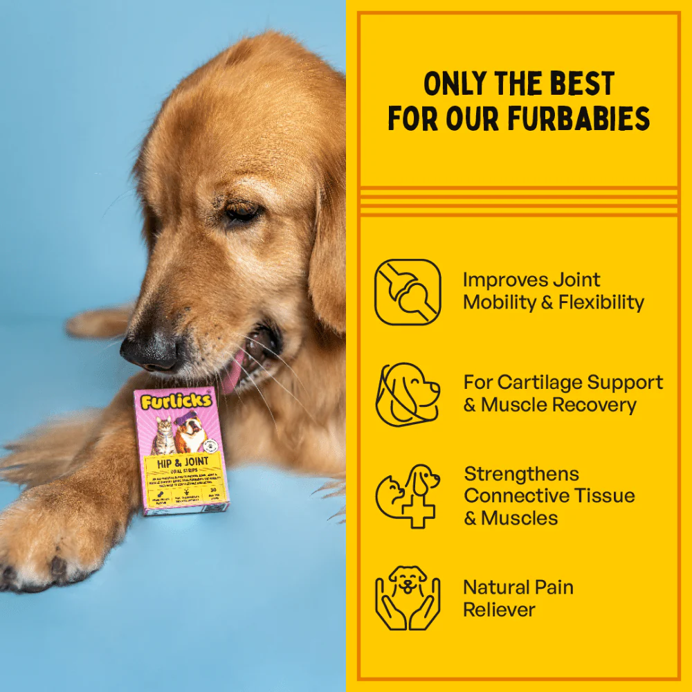 Furlicks Hip & Joint Supplement for Cats and Dogs - Image 3