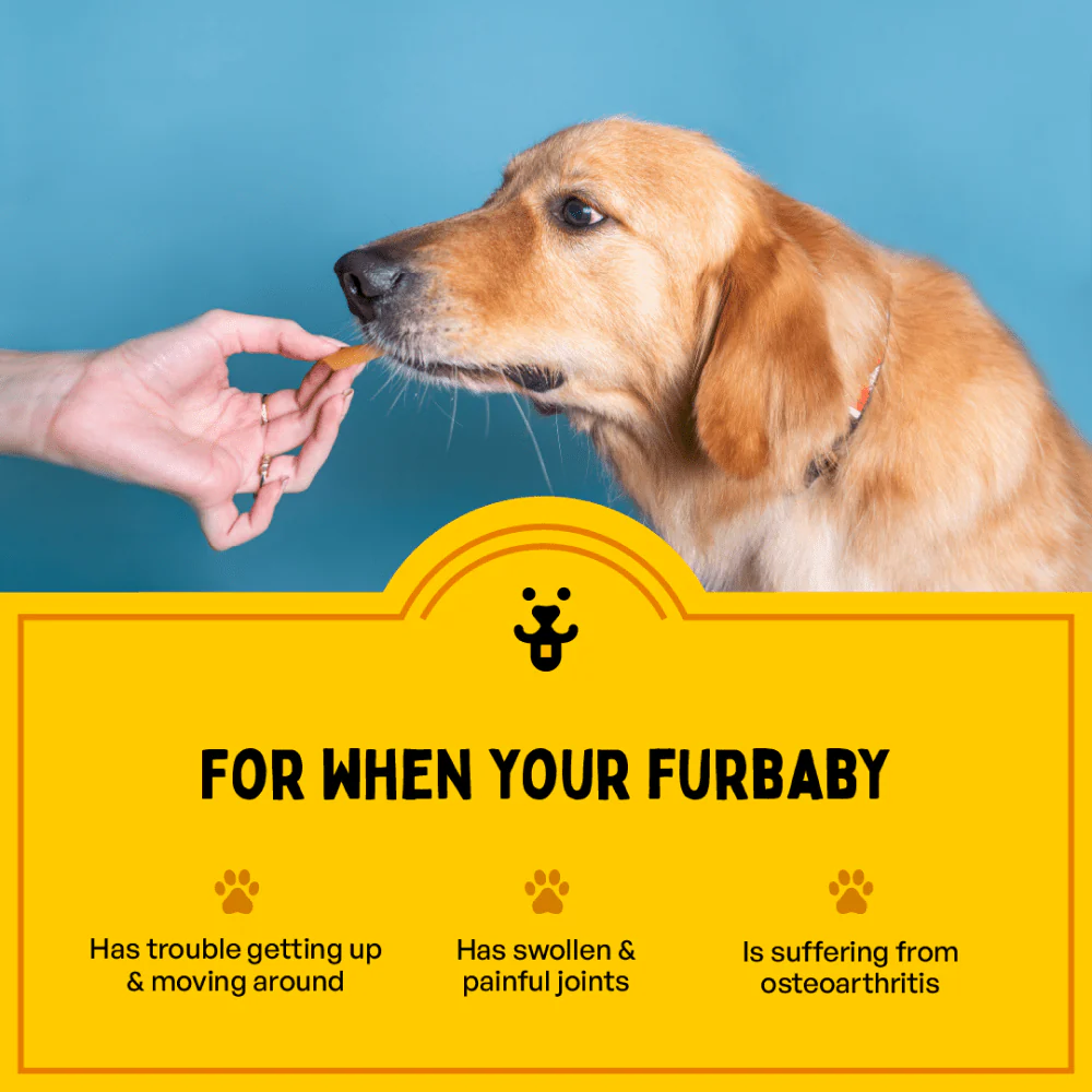 Furlicks Hip & Joint Supplement for Cats and Dogs - Image 5