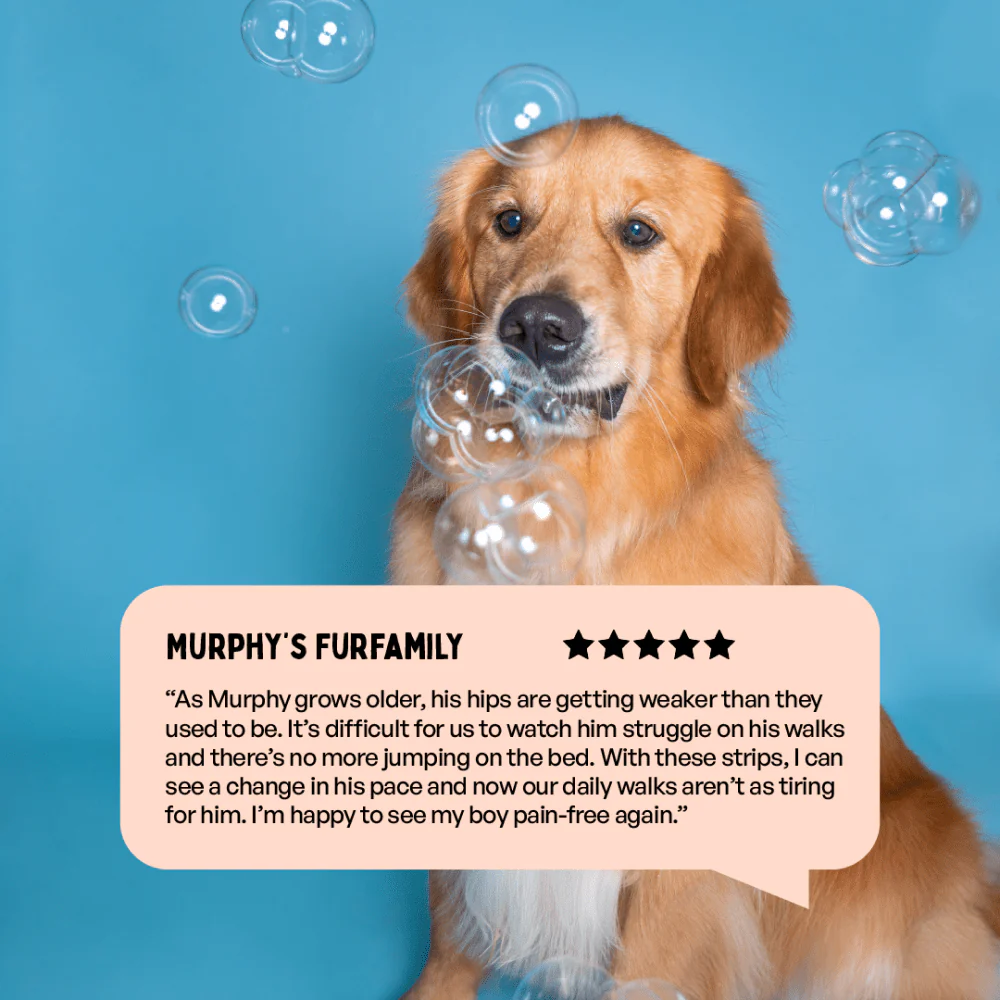 Furlicks Hip & Joint Supplement for Cats and Dogs - Image 7