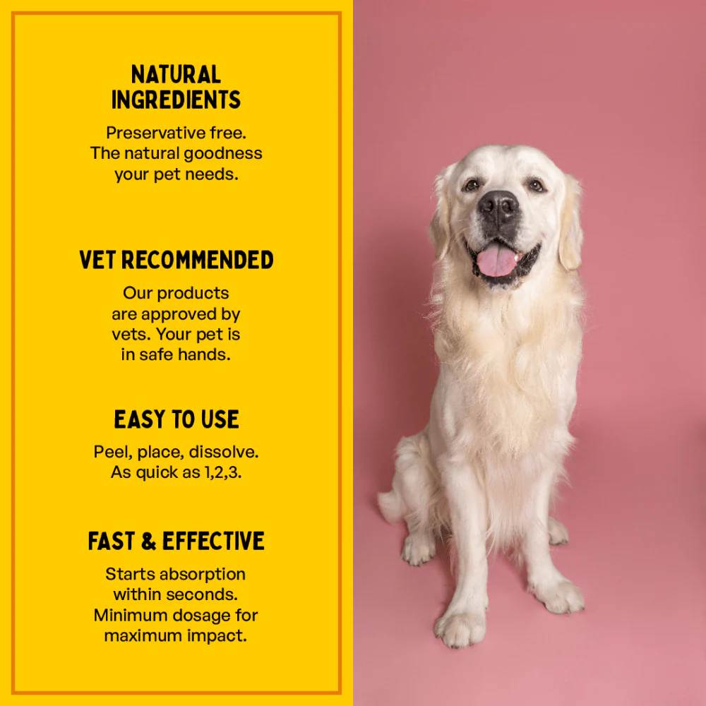 Furlicks Multivitamin for Cats and Dogs - Image 3