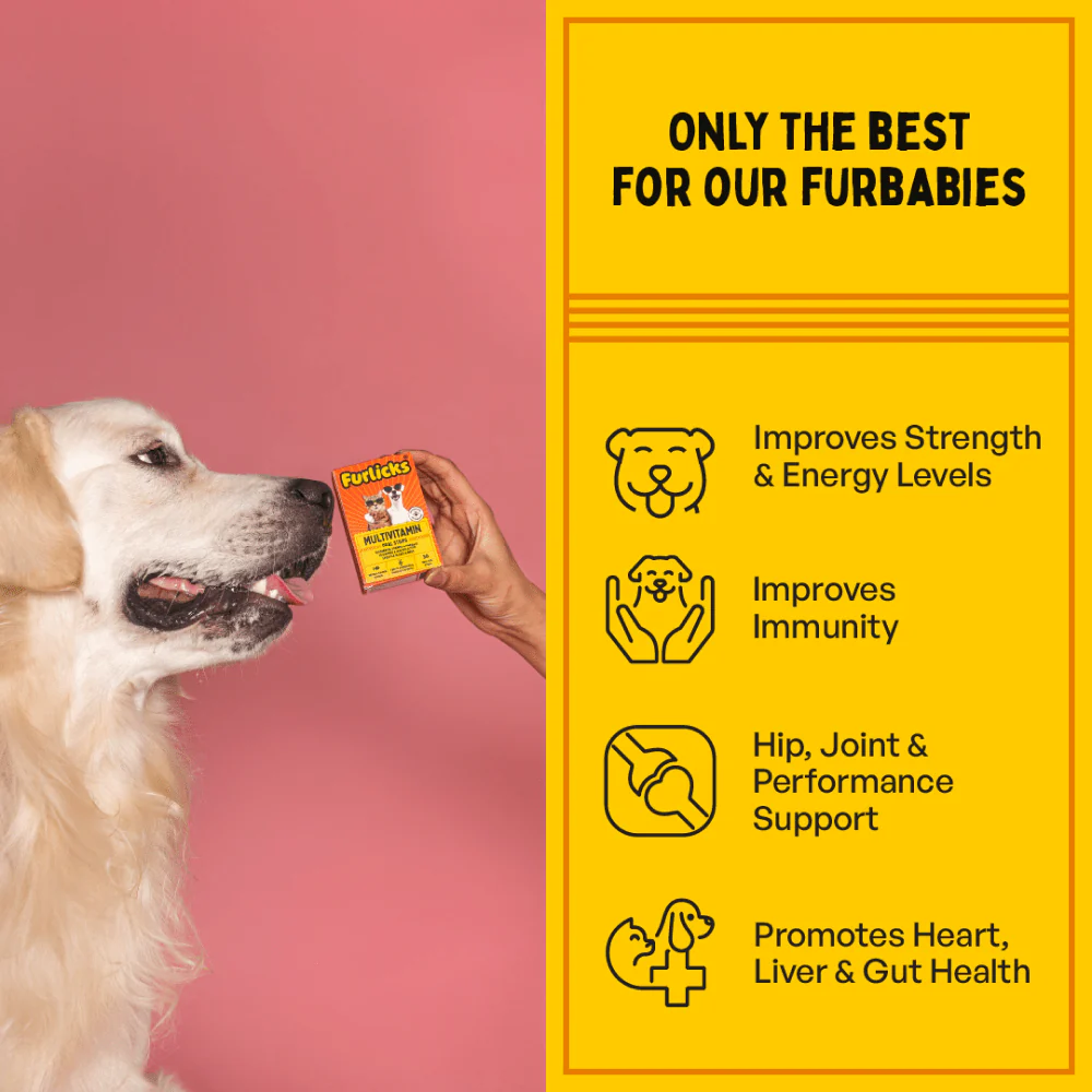 Furlicks Multivitamin for Cats and Dogs - Image 4